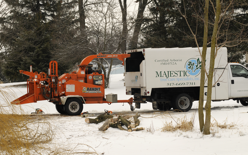 Majestic Tree Care Specialists - Our chip truck and wood chipper