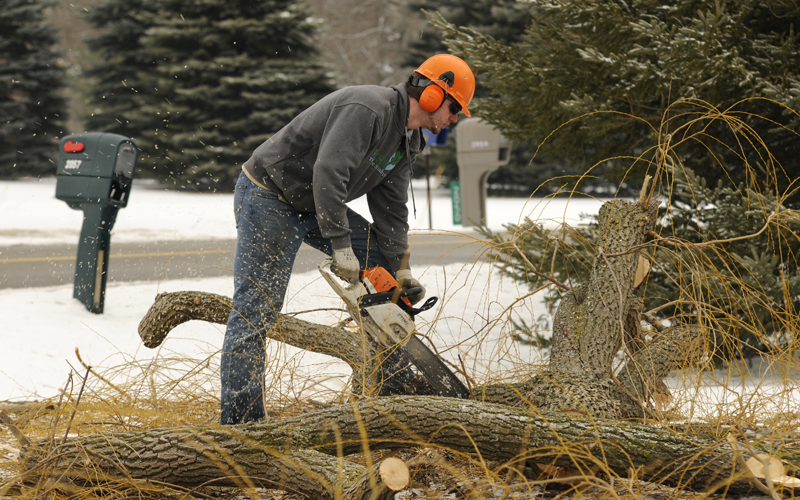 Majestic Tree Care Specialists - Cutting up fallen tree limbs