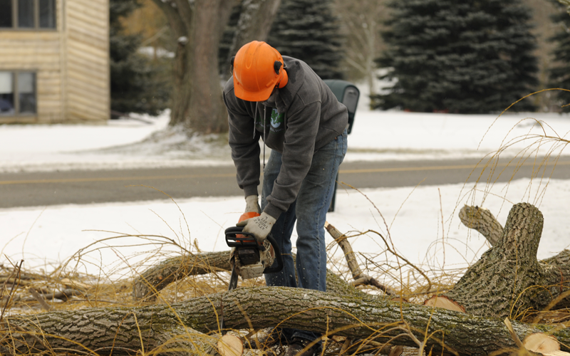 Majestic Tree Care Specialists - Cutting up logs with the proper safety equipment