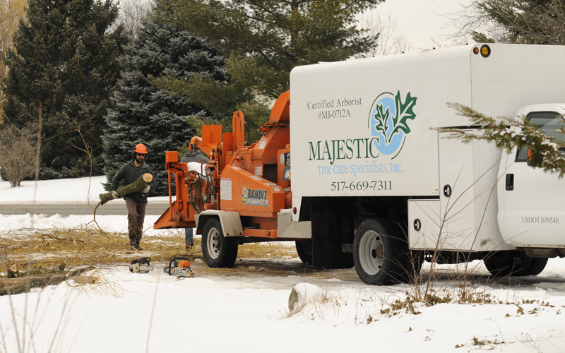 Majestic Tree Care Specialists - Loading logs and brush into the wood chipper