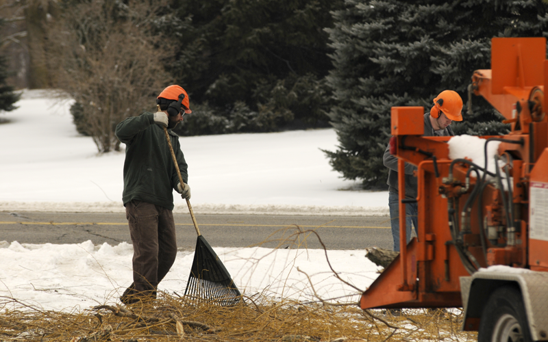 Raking and cleaning up limbs and brush